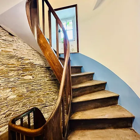 Apartament Le Petit Tinteniac - T2 Cosy Au Coeur De La Doutre