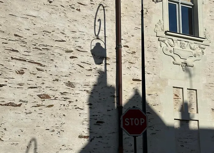 Le Petit Tinteniac - T2 Cosy Au Coeur De La Doutre Daire Angers